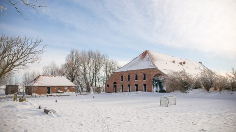 Der Gulfhof Polder72 im Schnee mit Backhaus und verschneitem Innenhof